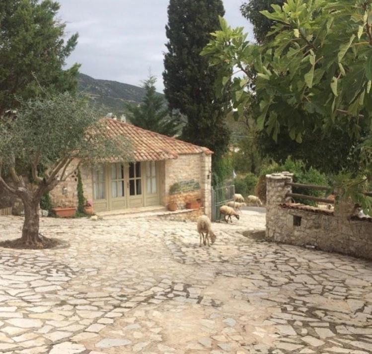 Elaion Guesthouse Ellinikón Eksteriør bilde